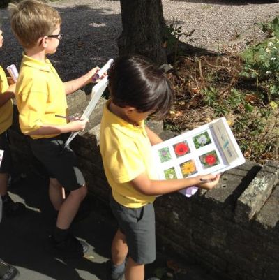 Science - What plants will we find in our local park?
