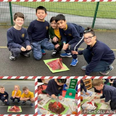 British Science Week 2022 Theme: Growth