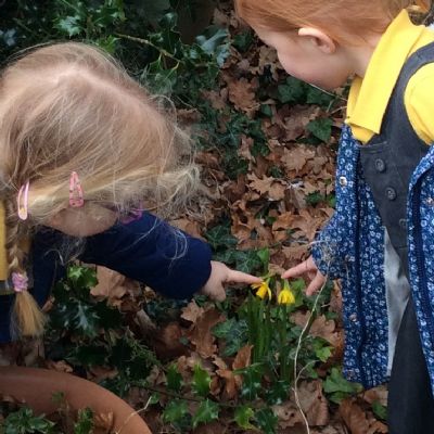Signs of Spring with Bertie the Owl