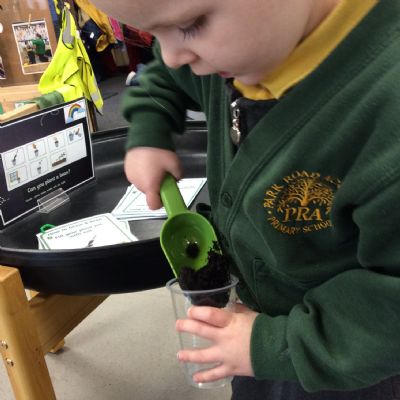 Planting a bean