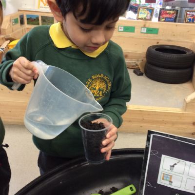 Planting a bean