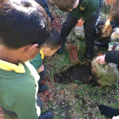 Science - Where do plants and animals live?