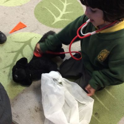 A visit to the Nursery Vet's