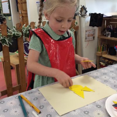 Creating with Shapes 