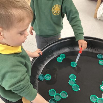 Fine Motor Fun 