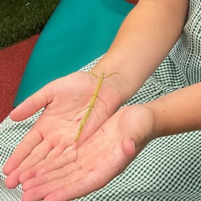 Science - Do all animals and plants start life as an egg?