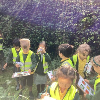 Science - Which plants will we find in the park?