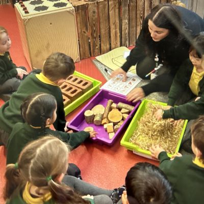 Exploring Materials - The Three Little Pigs - Which would you choose? 