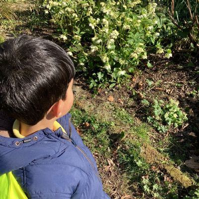 Exploring Growth and Change in our local area