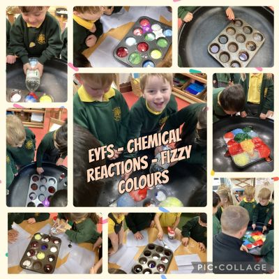 British Science Week 2025! Theme: Change & Adapt