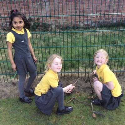 Building Habitats