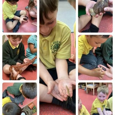A visit from ZooLab