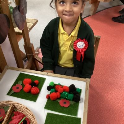 Creating a poppy field