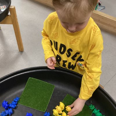 Can you help to sort Pudsey's friends?