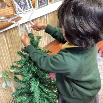 Let's decorate the tree