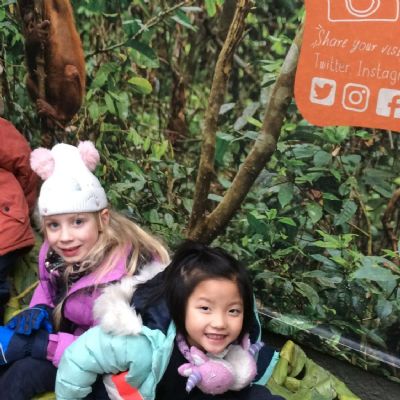 Our Trip to Chester Zoo