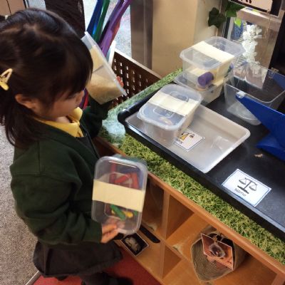 Let's compare - Which is heavier? lighter? are they the same?