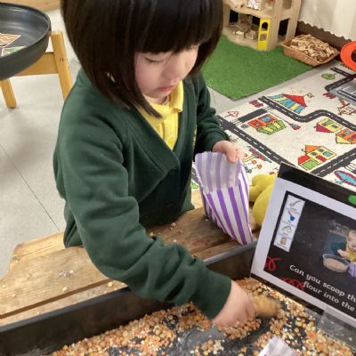 Collecting the grains for the Little Red Hen 