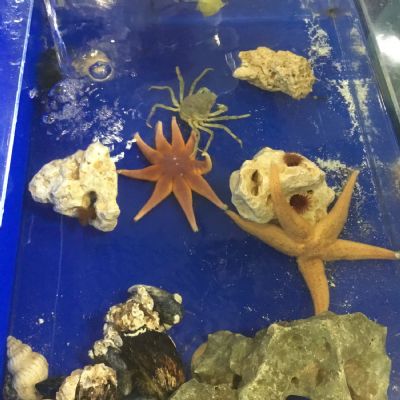 Geography: Why do we love to be beside the seaside?