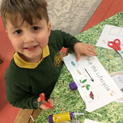 How does a caterpillar grow and change? 