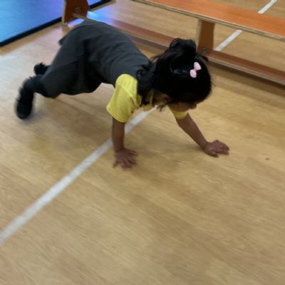PE Passport - Parts High and Parts Low - Moving on our different body  patches