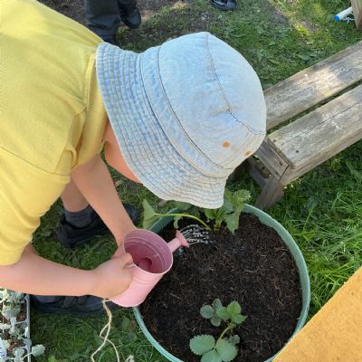 Taking care of the new additions to our growing area after Park Road in Bloom
