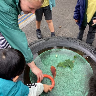 Exploring floating and sinking