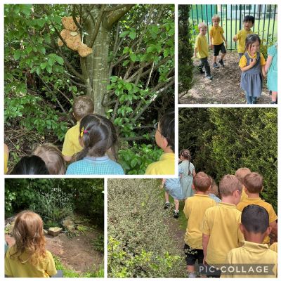 We're going on a bear hunt...