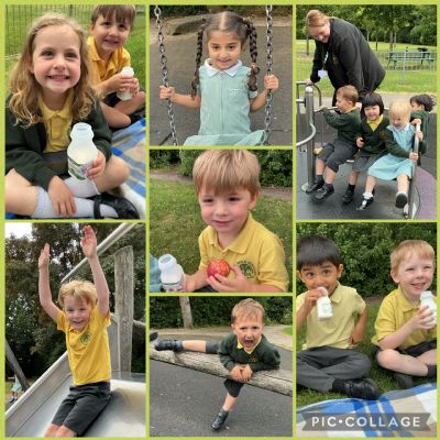 Fun in the sun at our local park 
