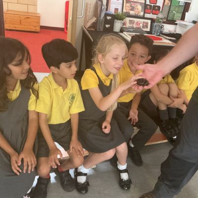 Science Ignition: Curious Critters Visit!