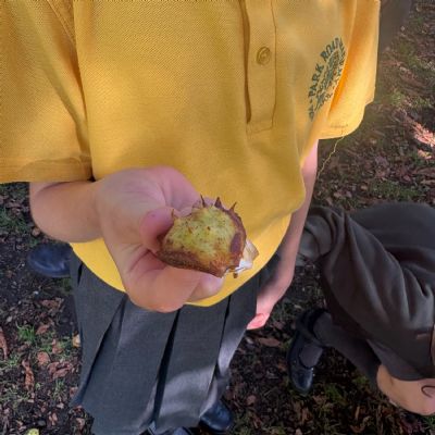 Organisms in our Local Area